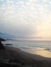 LA-PARED
