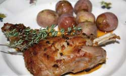 CABRITOADOBO