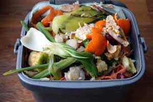 “Cradle-to-Cradle” cuisine: Sustainable C-2-C cooking.